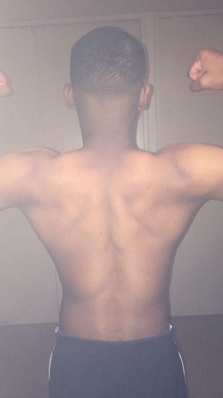 Profil de Sylvestre